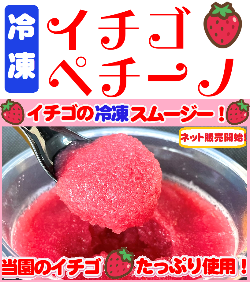 評判 冷凍苺24kg 500g×48袋 佐賀県産 ジャム スムージー かき氷